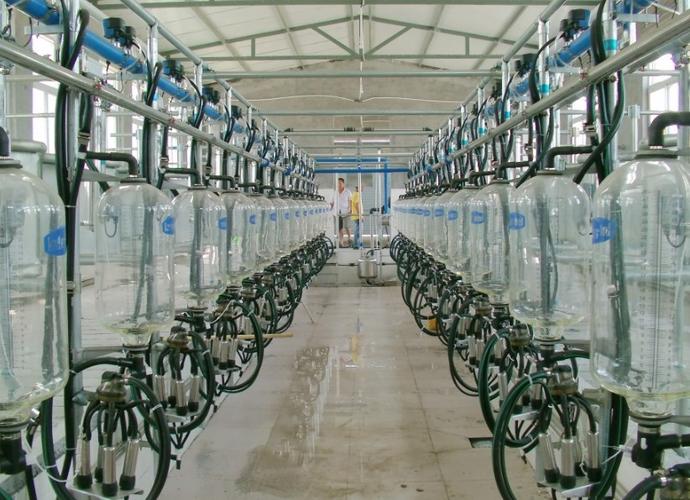 天润新东鱼骨式32位挤奶厅畜牧水产养殖机械 > 畜产品采集加工机械